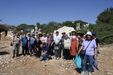 DSC_6486_800x533 DSC_6486_800x533